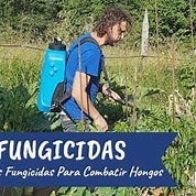 FUNGICIDAS