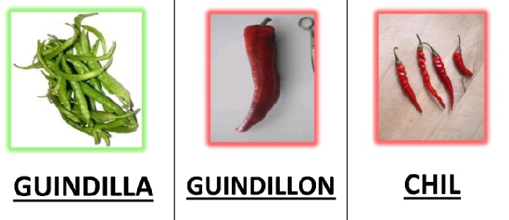 PLANTA PIMIENTO - Imagen 4