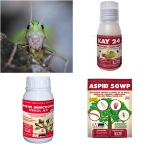 INSECTICIDAS PARA HUERTA Y JARDÍN
