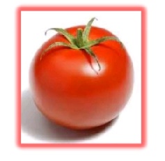 Tomate